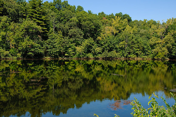DSC_7037.jpg