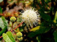 DSC_6941.jpg