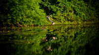 700_3741.jpg