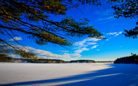 D7K_3933.jpg