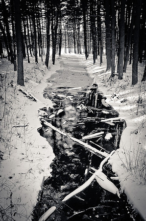 D7K_4000.jpg