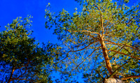 D7K_3948.jpg