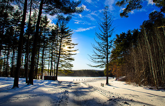 D7K_3855.jpg