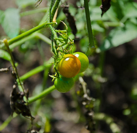 D7K_4232.jpg