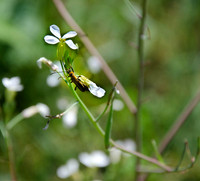 D7K_4197.jpg