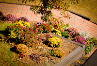 DSC_8385.jpg