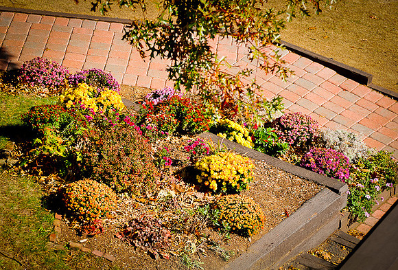 DSC_8385.jpg