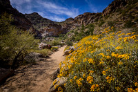 White Tank Mountain