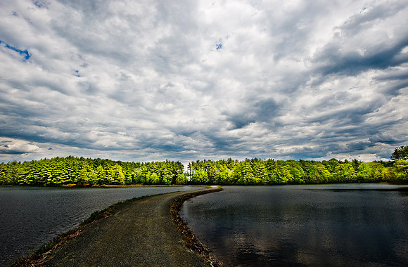 D3P_9467.jpg