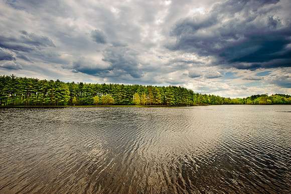 D3P_9391.jpg